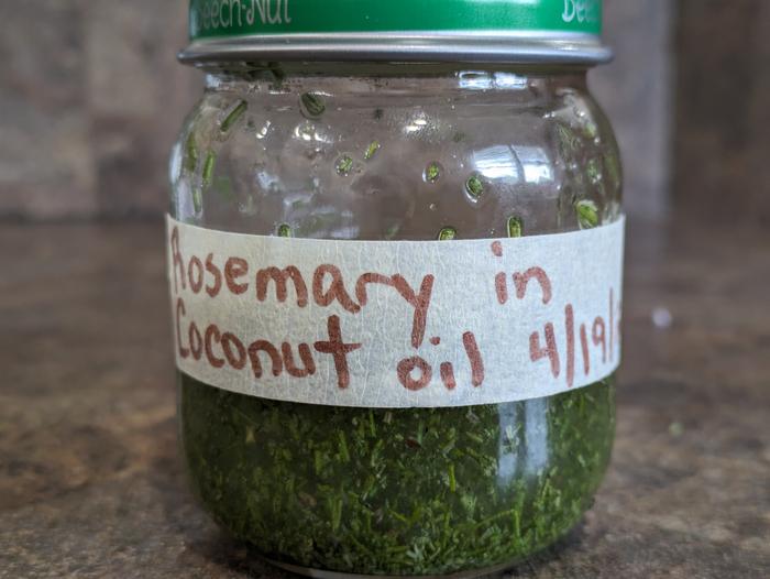 Rosemary in coconut oil