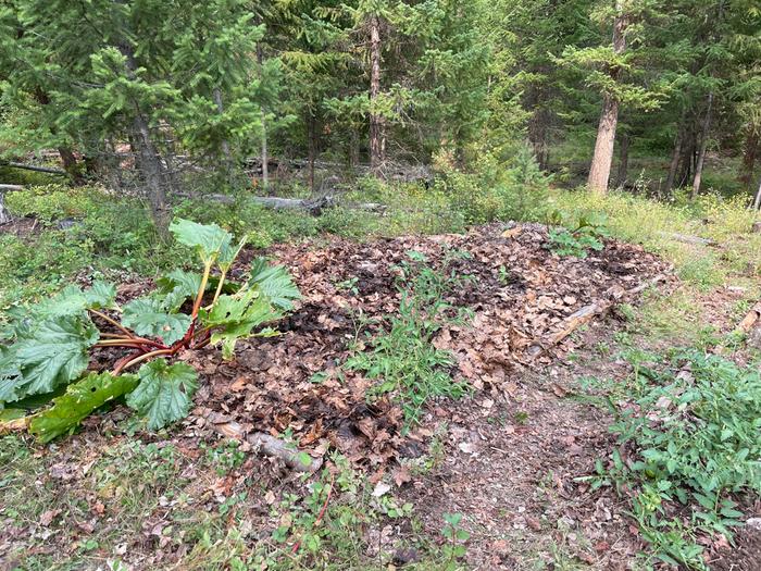 Magdalene spread some compost on Freds garden and I mulched with leaves. I also mulched a pecan tree and two mulberry trees