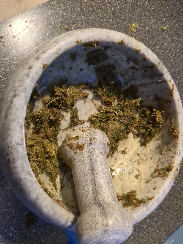 Added water and it's looking more like a paste but the leaves still refuse to break down.