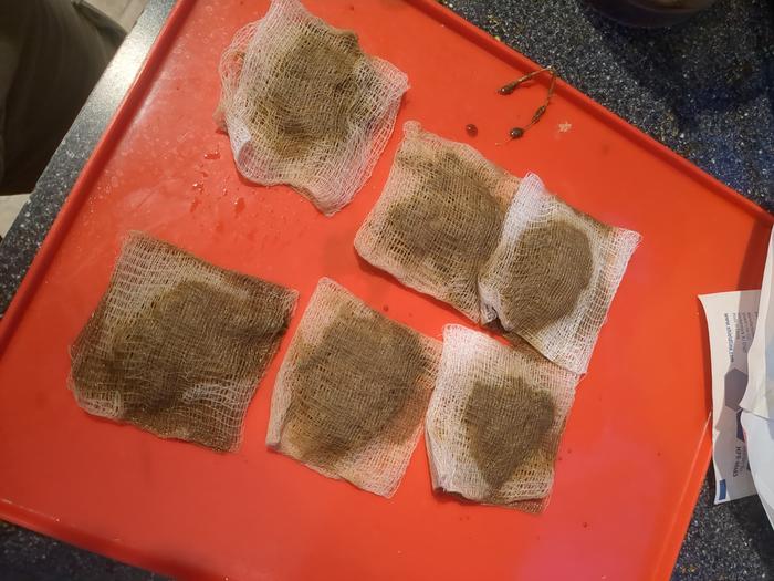 The gauze folded so I folded them up. They look and feel like used tea bags.