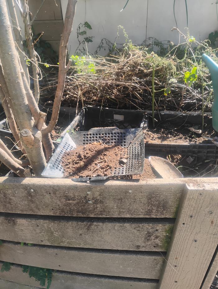 Covered in sifted soil