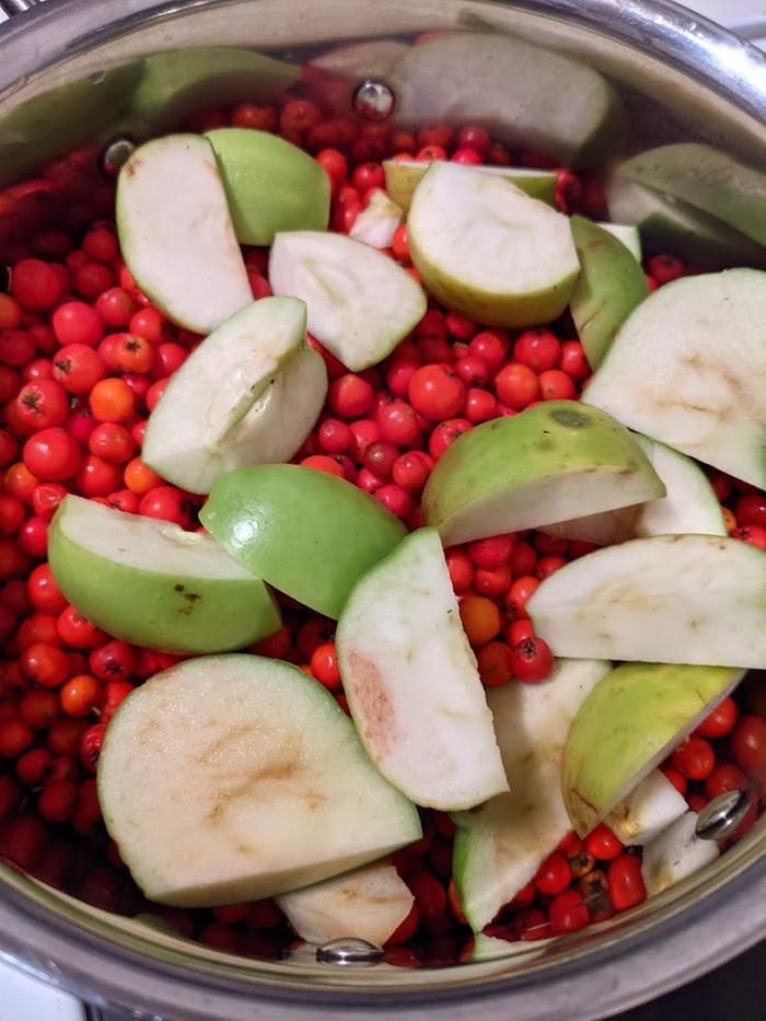 Rowamberries and sliced apples in a metal bowl