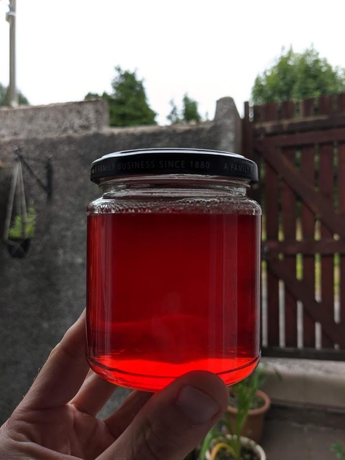 A jar full of red rowanberry jam