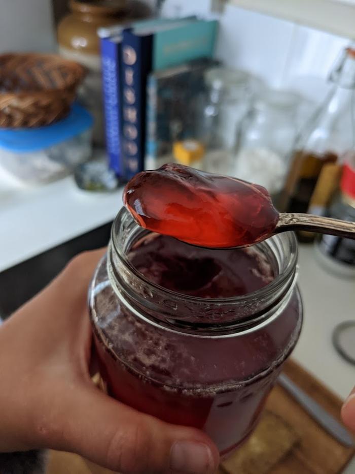a spoonful of gorgeous red rowanberry jam