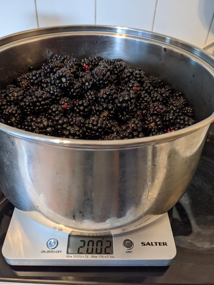 [Thumbnail for 2kg-blackberries.jpg]