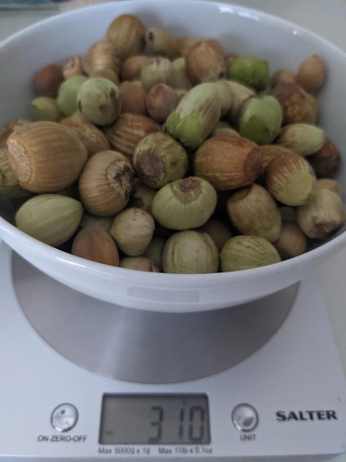 310g hazelnuts