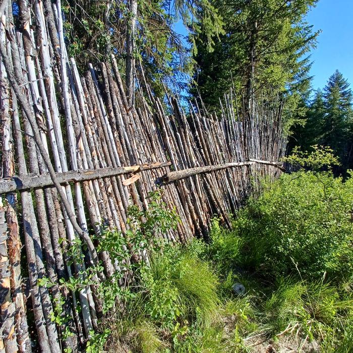 [Thumbnail for Junk-pole-fence-in-need-of-repair.jpg]