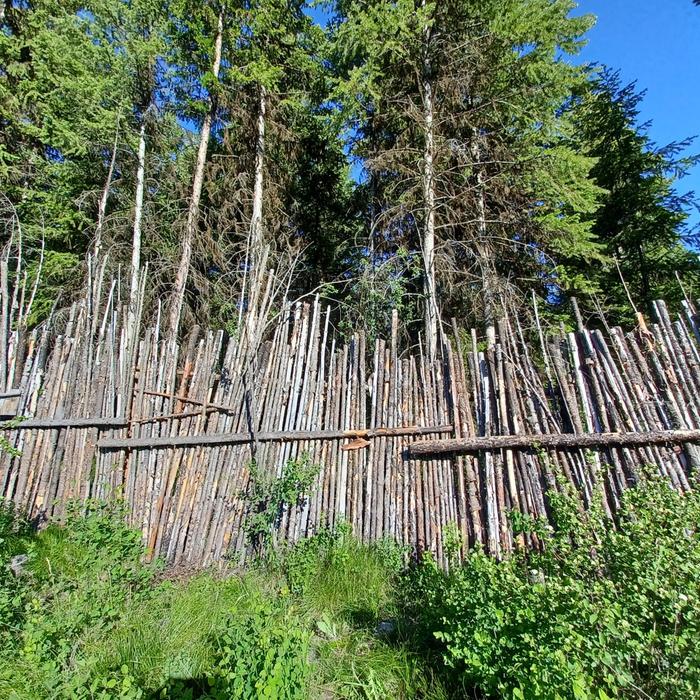 [Thumbnail for Junkpole-fence.jpg]