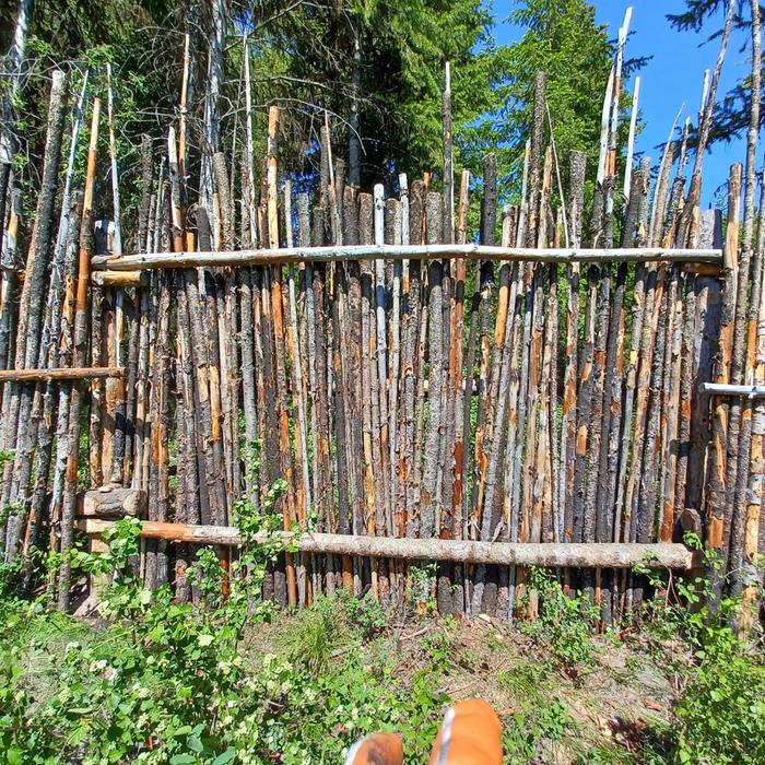 [Thumbnail for Reparied-Junk-Pole-Fence.jpg]