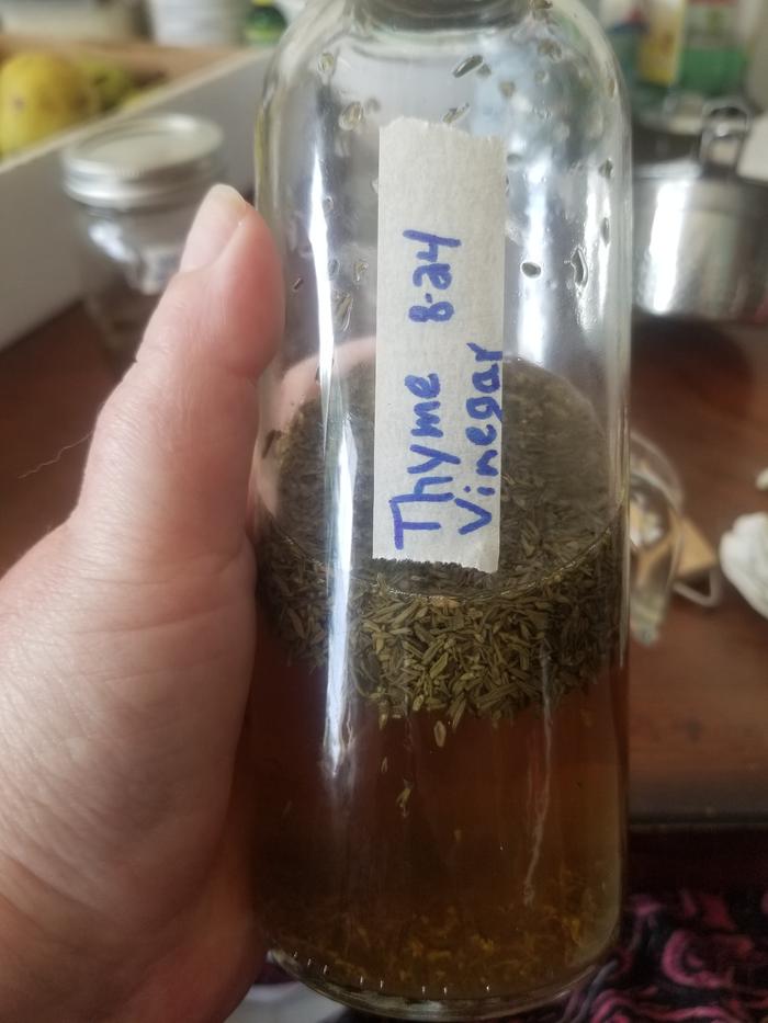 thyme vinegar infusion 