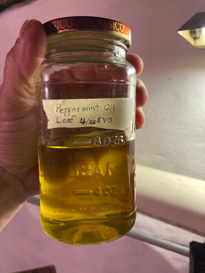 Finished oil in labeled container