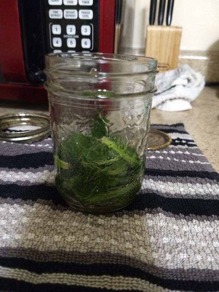 Leaves in the jar.