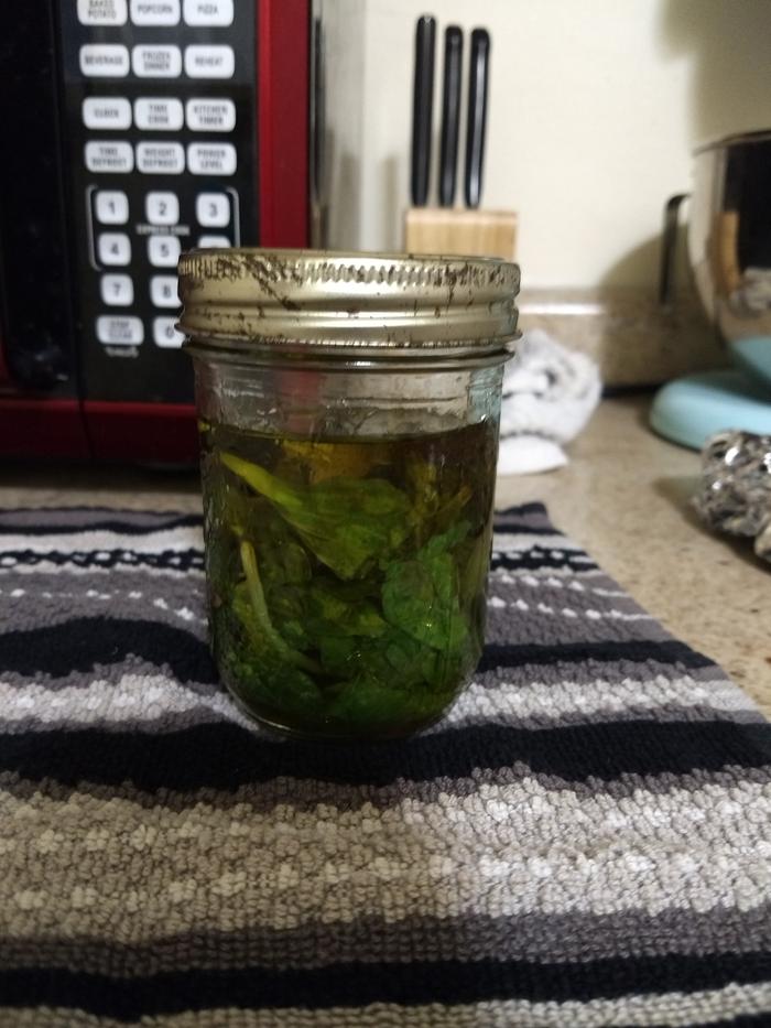 Added quality olive oil to the jar to cover all the leaves.