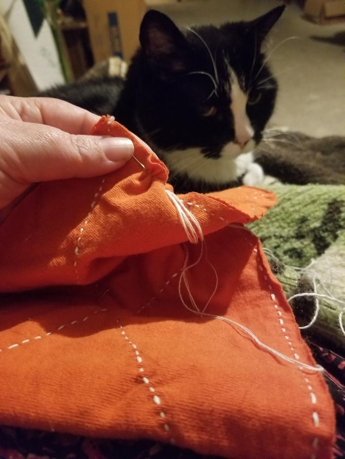 while sewing with Ms. Jibber Jabber 