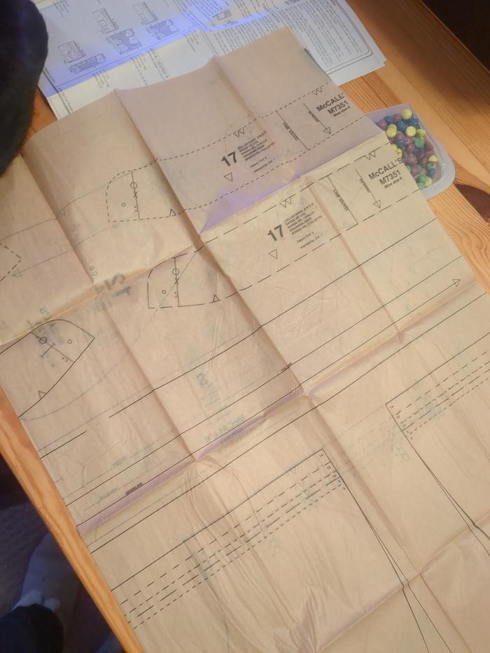 Got a pattern. Asked my sister-in-law to verify that I am supposed to cut these pieces out before I ruin the pattern.