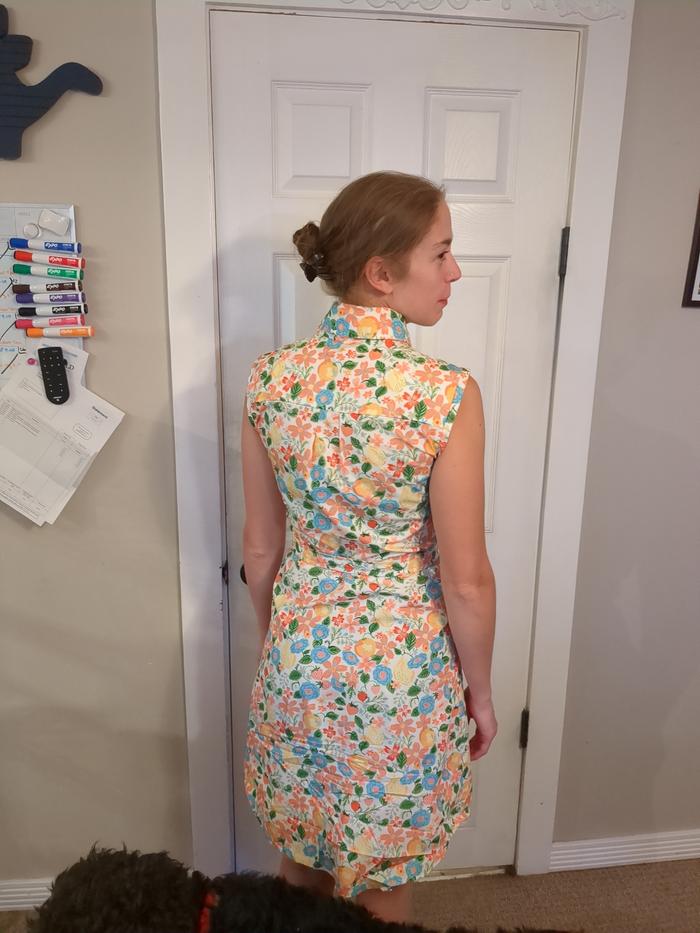 Finished dress (back)!