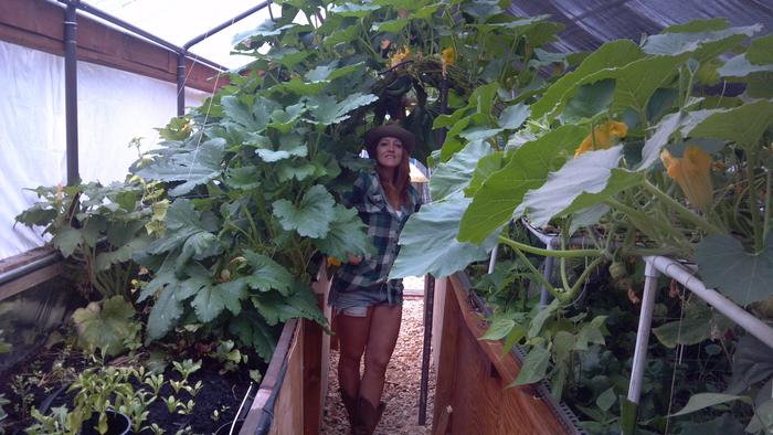 [Thumbnail for thumb-stormie_greenhouse.jpg]
