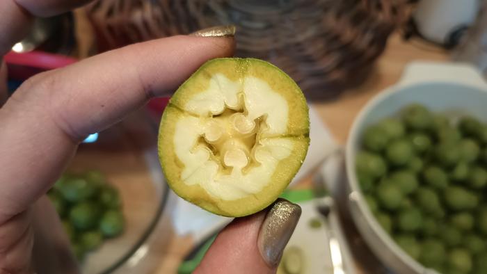 chop chop. these were harvested perhaps in ealy July and just beginning to form the familiar walnut and husk inside.