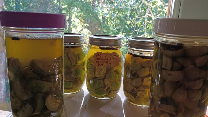 The tannins from the walnuts each stained differently. 