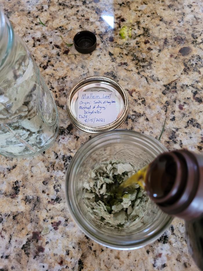 Add extra Virginia olive oil to dried leaf.