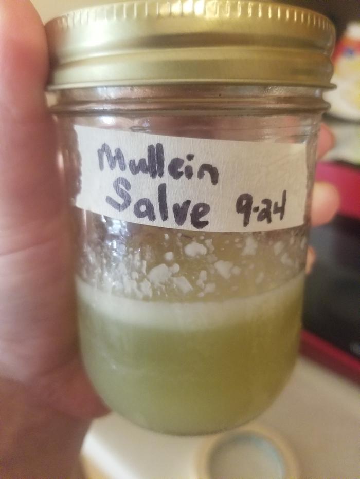 completed mullein salve jarred and labeled 