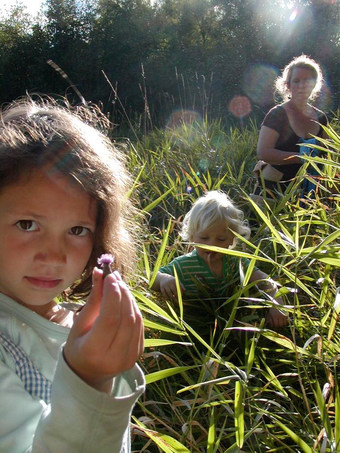 [Thumbnail for thistle.JPG]