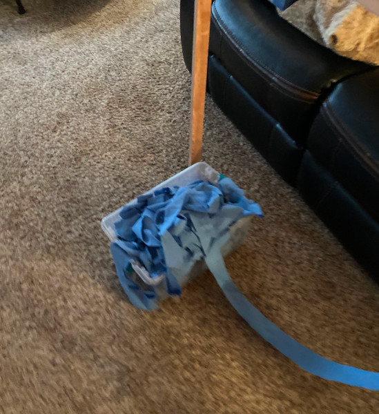 warp strips (sewn together for one long strip)