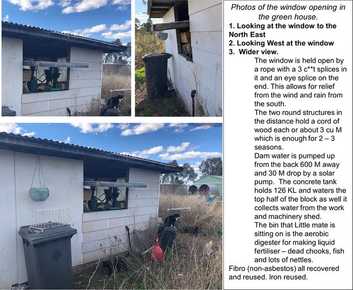 [Thumbnail for Green-House-Window.jpg]