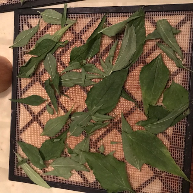 Second tray of leaves.