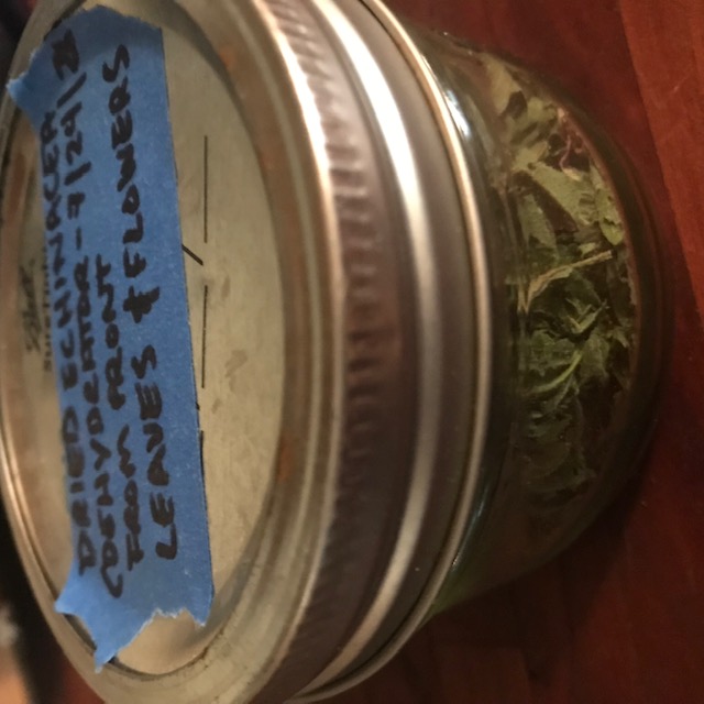 Labeled jar ready for storage.
