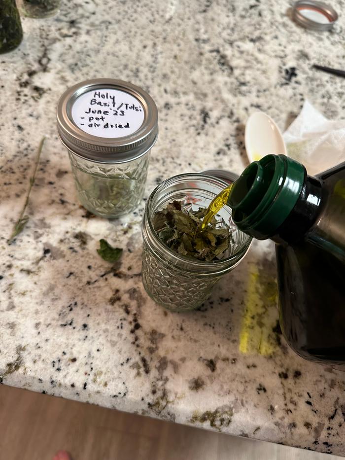 pouring olive oil over the dried leaves