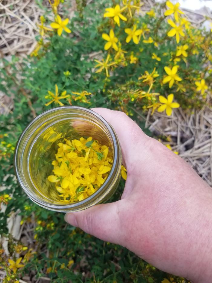 some flowers in the jar