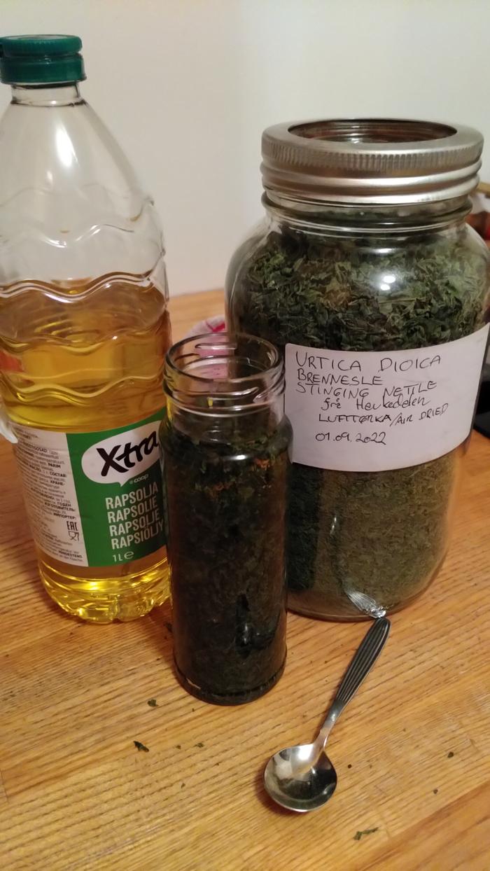 Dried nettles, rapeseed from the store, infusing bottle