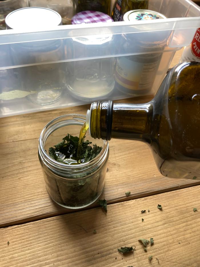 Making. Nettles in oil. 