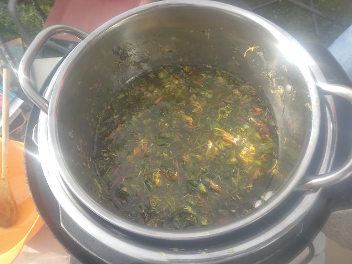 herbs all seeping in a low double-boiler