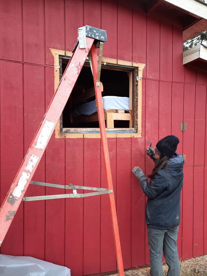 Mags working on the Red Cabin window replacement