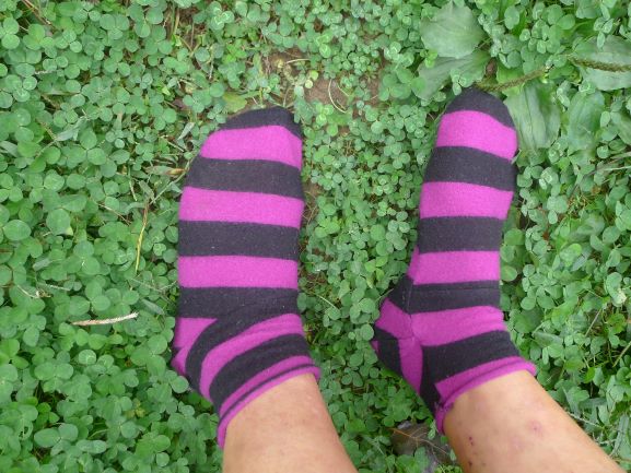 Ankle socks from felted wool knit