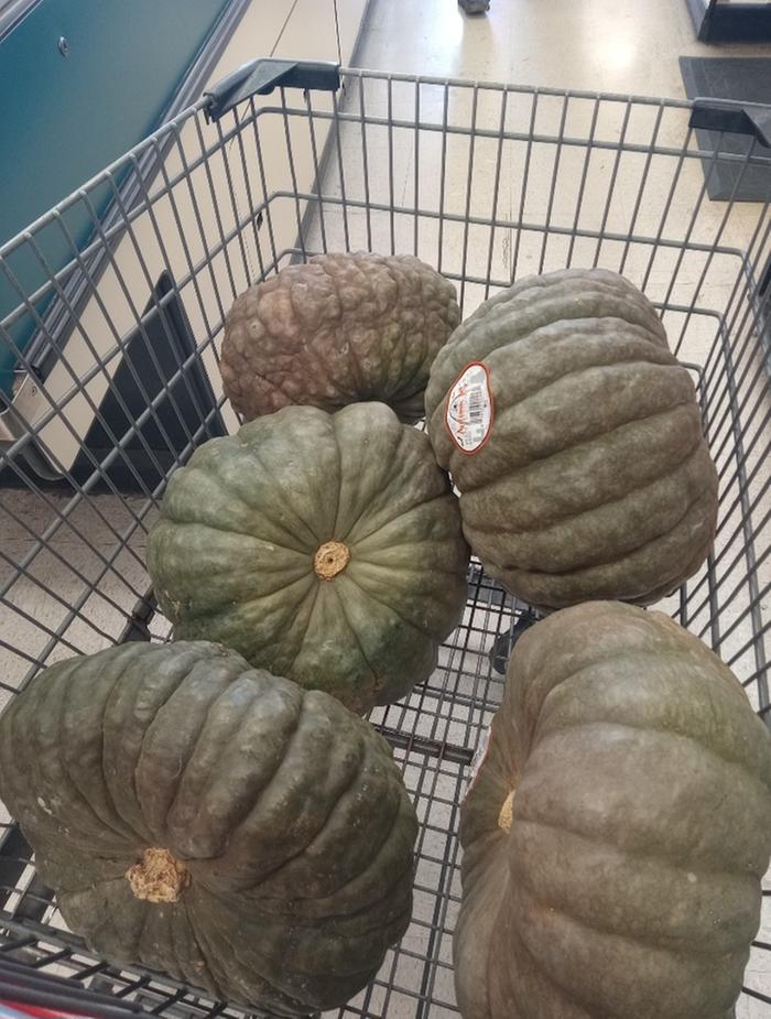 5 for 5 pumpkins