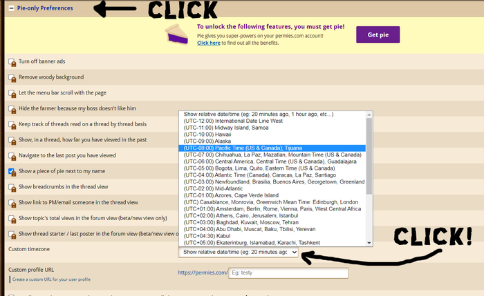 Click the time zone you want, and then click 'Submit' to get a timestamp on every post. 