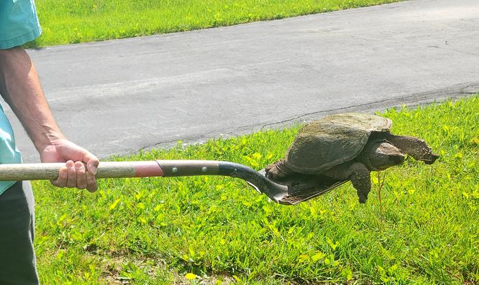 [Thumbnail for ShovelTime.jpg]