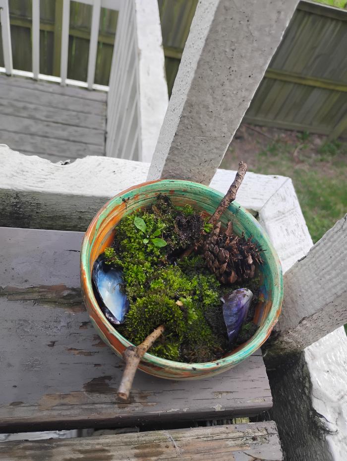 And here we have a cute little watering station with added shade and escape routes ( I will be making more of these since it is smaller)