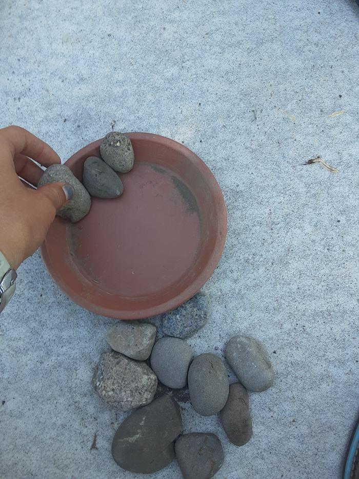 This is me putting the watering station together.