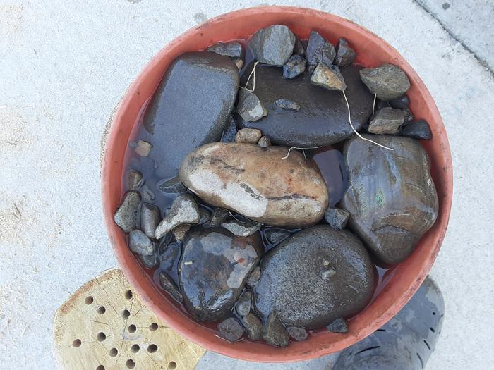 Here is the new watering hole for the amazing bees.