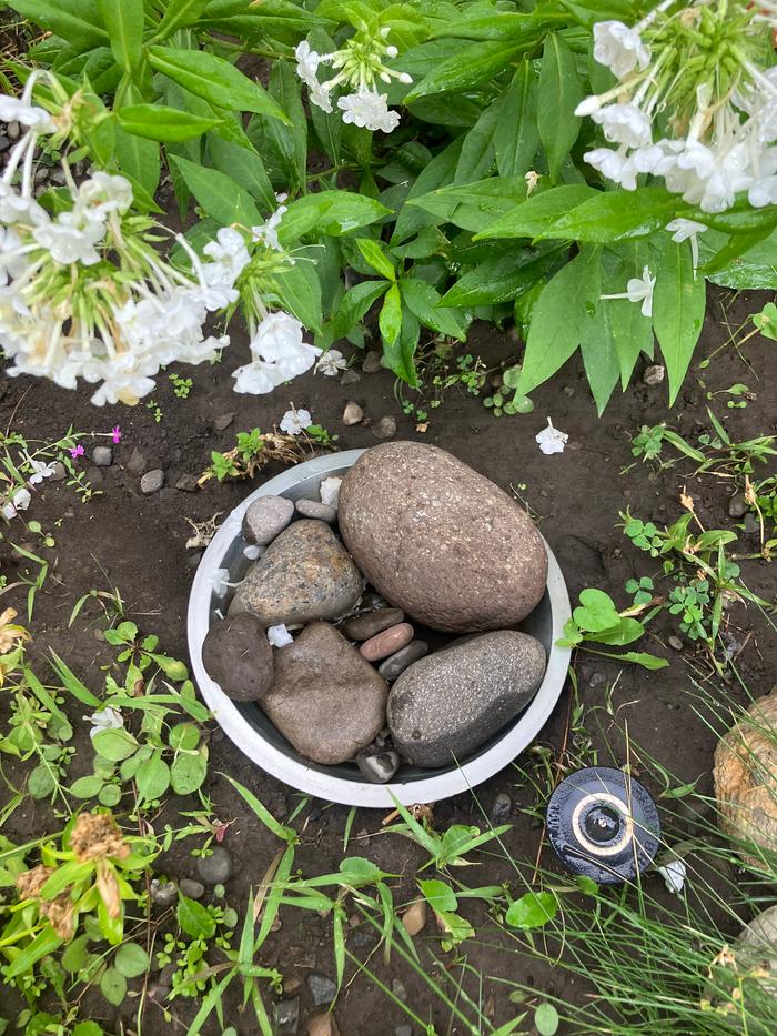 This photo shows that smaller stones were added to the water station. Water is automatically refilled every time the sprinkler is turned on.