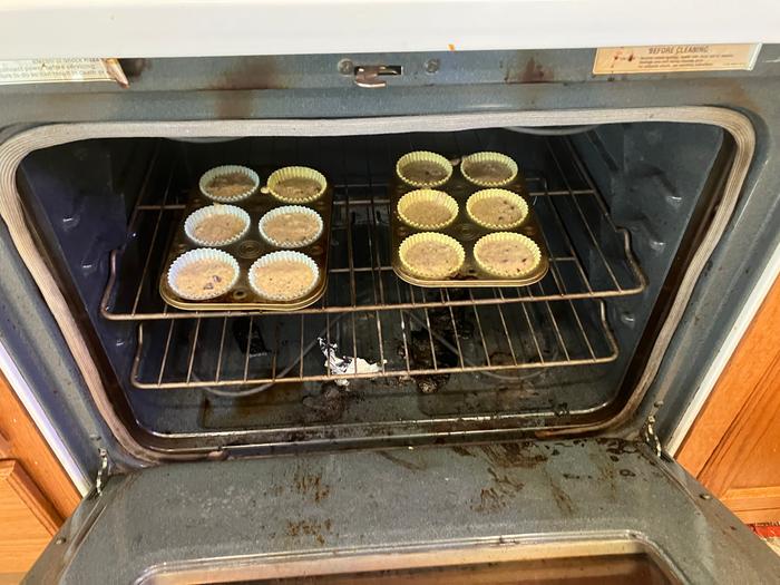 Zucchini muffins for the win :)