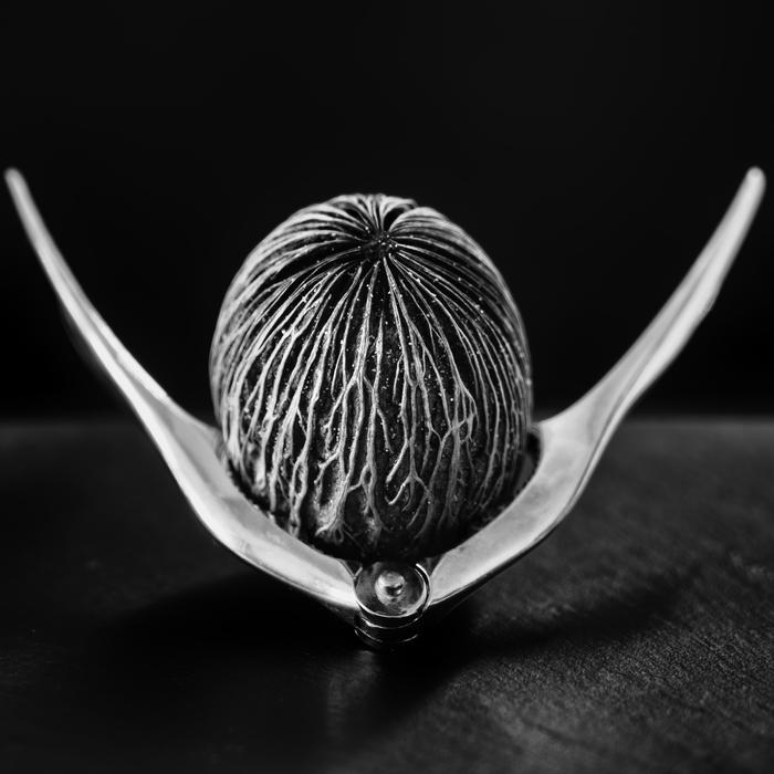 [Thumbnail for DSC00545-as-Smart-Object-1.jpg]