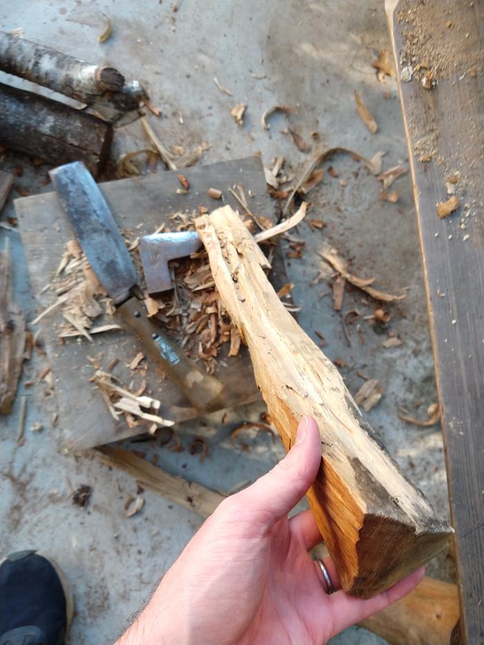 Castanopsis had some twist and didn't split so cleanly