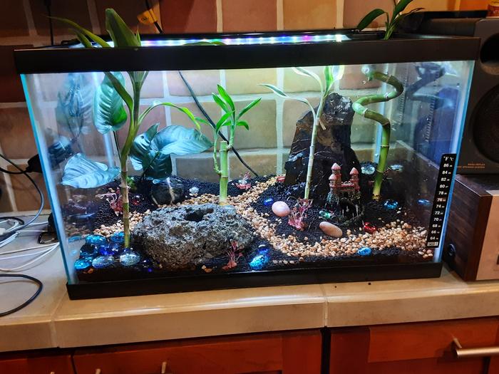 Tank with plants