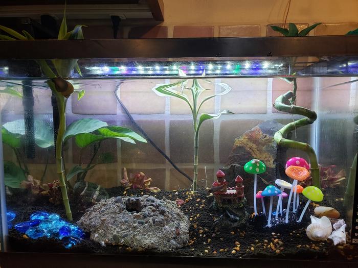 Established tank