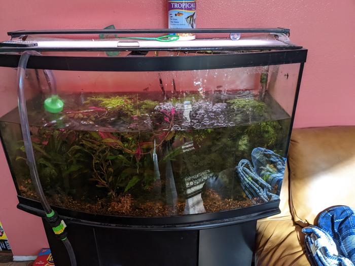 Major water change 